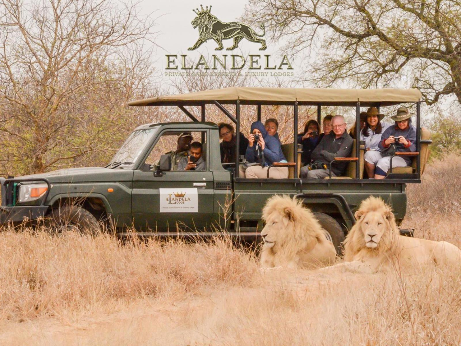 Elandela Private Game Reserve And Luxury Lodges Pty Ltd Худспрут Экстерьер фото